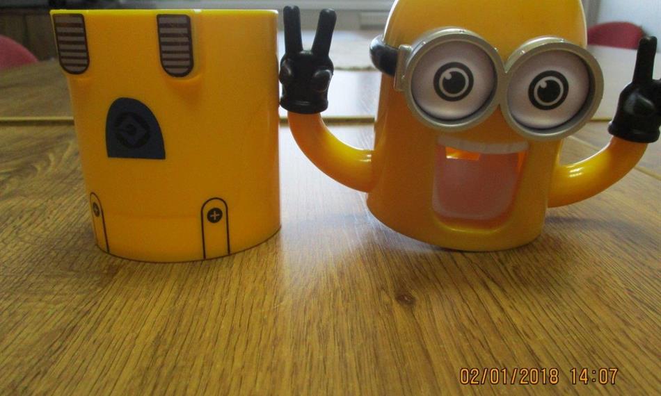 2018-1-11-1332Minions 6.jpg